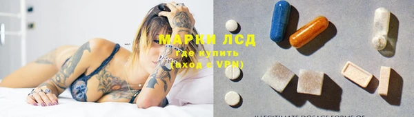 прущие грибы Баксан