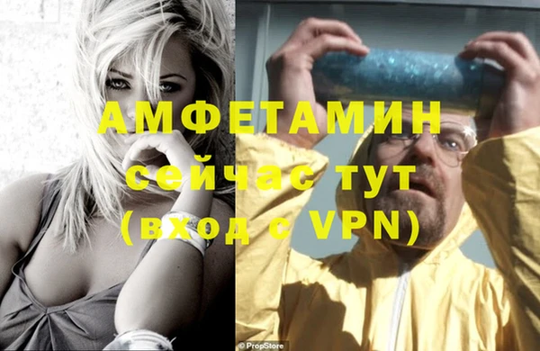 прущие грибы Баксан