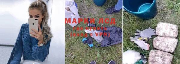 прущие грибы Баксан